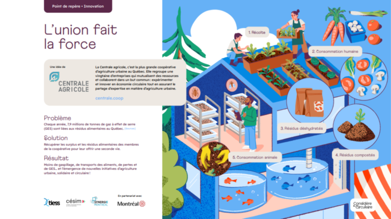 Sept initiatives en économie circulaire à découvrir !